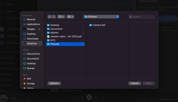 Spotify Profile Picture Popup Desktop