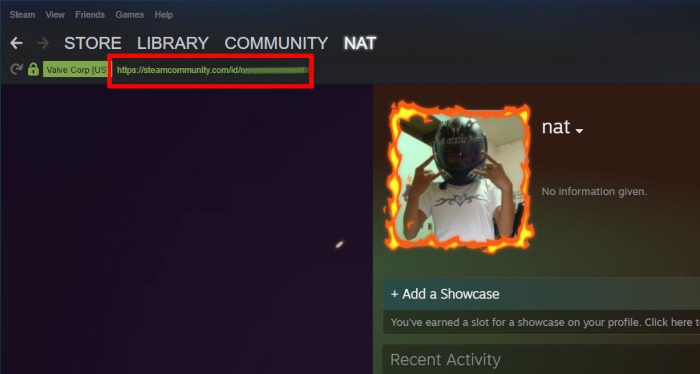 Steam Stats Steam Id