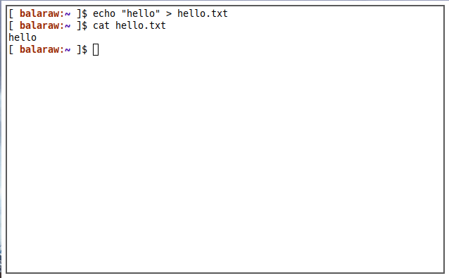 Terminal Output File 08 Hello Txt