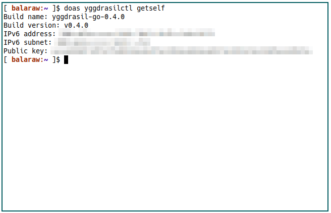 Yggdrasil Network 13 Sample Getself
