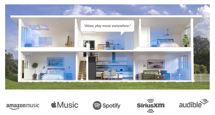 Amazon Echo Dot 4th Gen Network