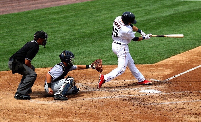 Apple Friday Night Baseball Bat