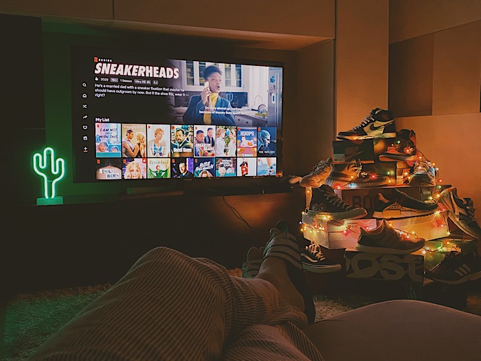 Netflix Account Sharing Content