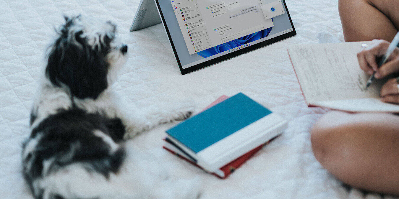 Windows 11 Windows Xp Featured3