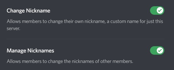 Change Discord Username Permissions