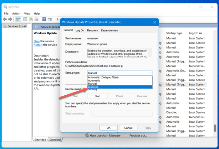 Disable Servise Startup