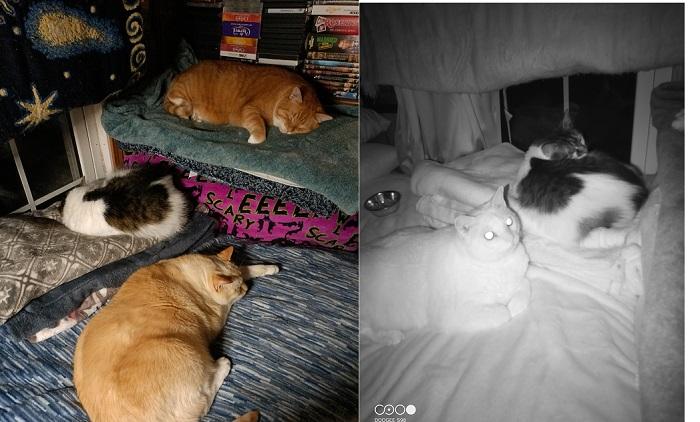 Doogee S98 Smartphone Review Night