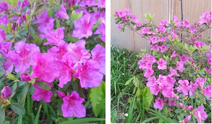 Doogee S98 Smartphone Review Pictures