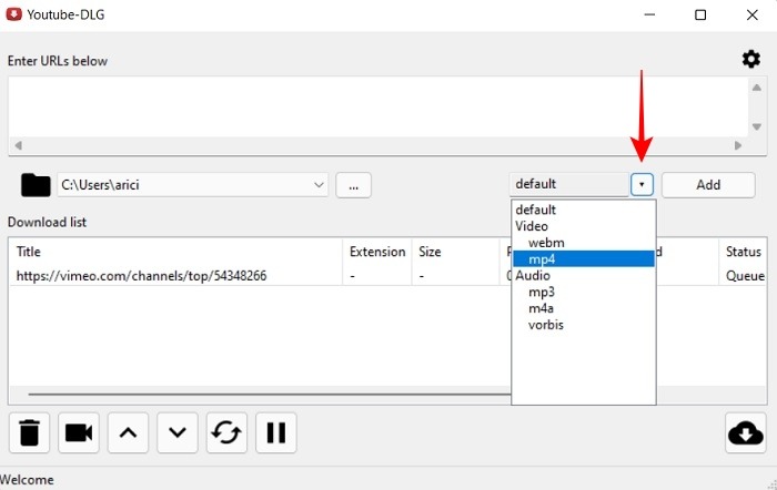 Download Video Dlg Options