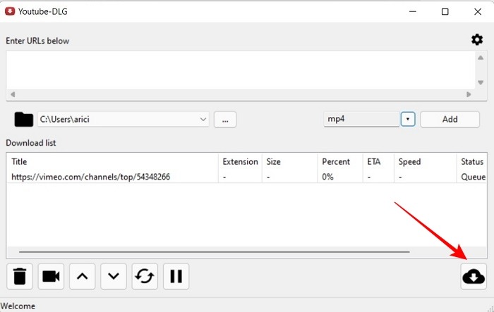 Download Video Dlg Start