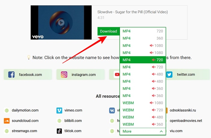 Download Video Savefrom Available Options