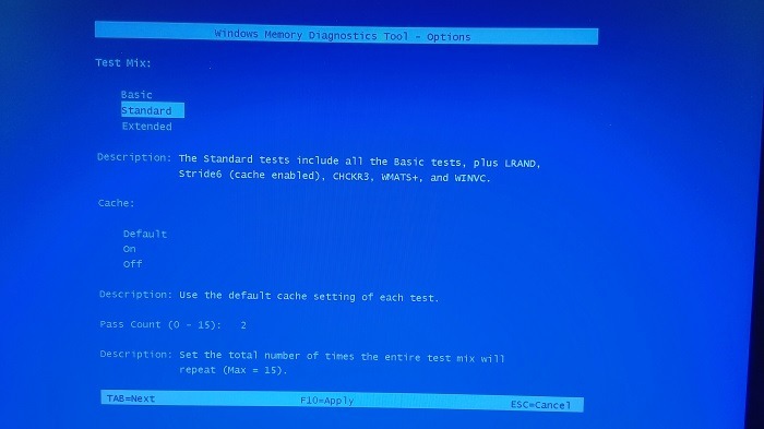 Opening the Advanced Options menu in the Windows Memory Diagnostic tool to run more tests.
