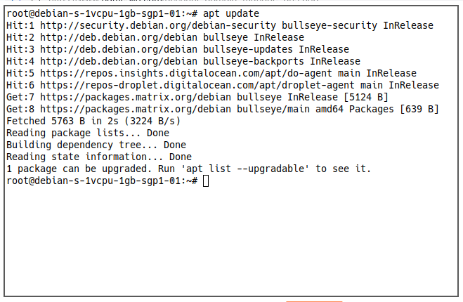 Matrix Server 15 Apt Update