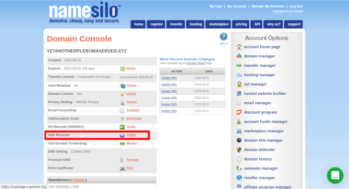 Pleroma Server 38 Dns Records 2