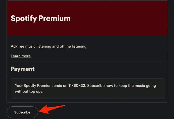 Spotify Payment Details Page