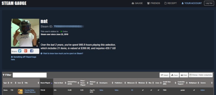 Steam Stats Steam Guage