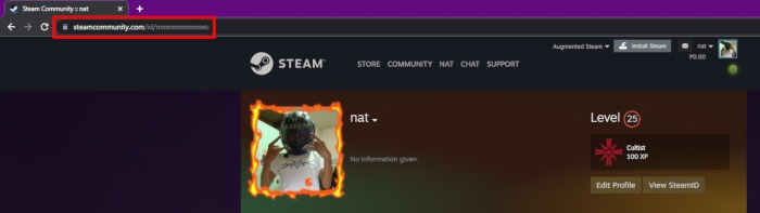 Steam Stats Steam Id Web