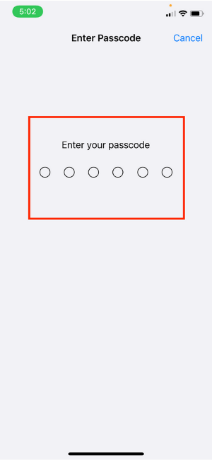 Unlock With Apple Watch Enter Your Passcode