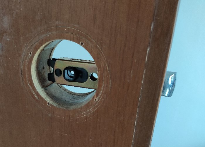 Welock Smart Lock Spring Bolt Installation