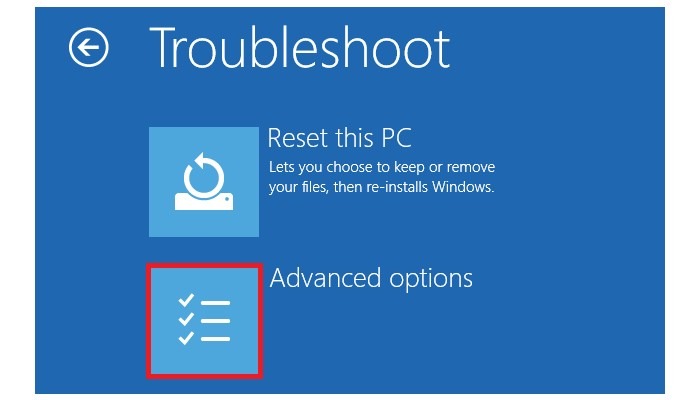 Windows 11 Advanced Options