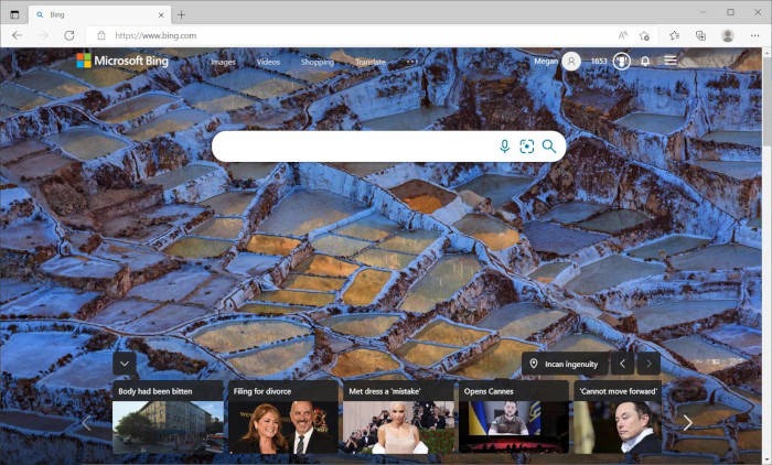 Search Engines Bing Appearance