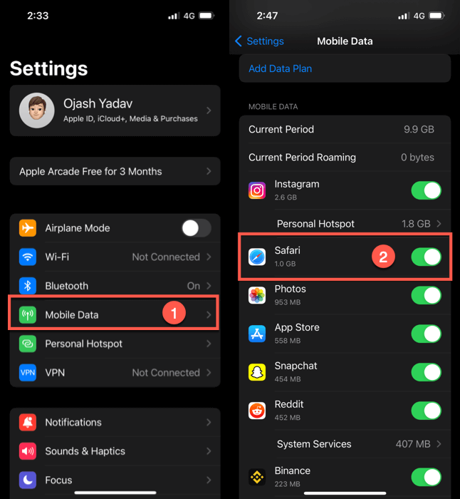 Turn On Cellular Data For Safari App