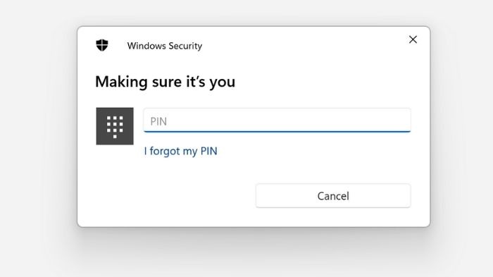 Windows Hello Pin