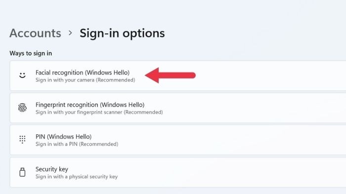 Windows Hello Recognition