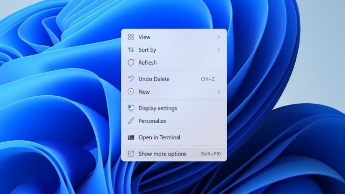 Windows Macos Menu