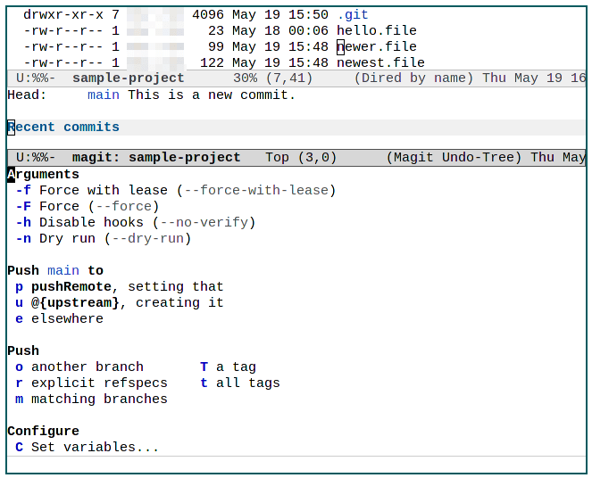 Emacs Magit 21 Push Feature