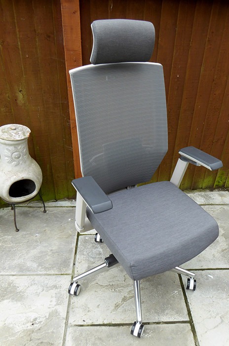 Flexispot Backsupport Full