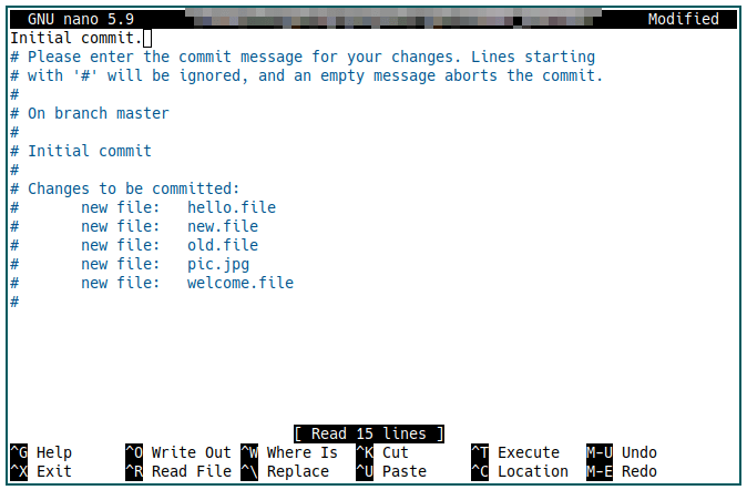 Git Guide First Commit