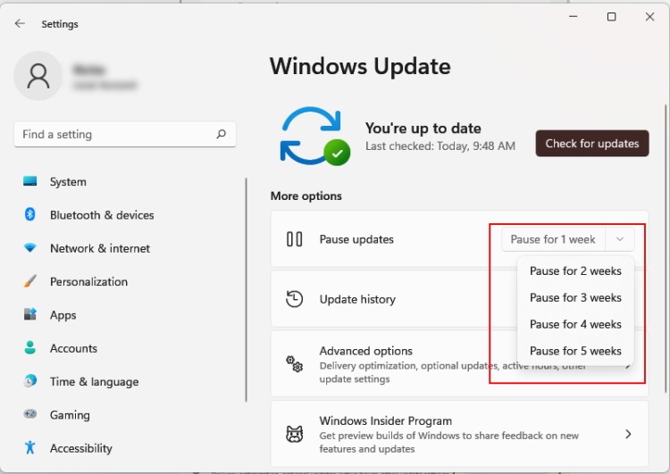 Windows Update screen