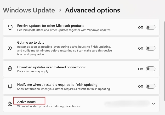 Windows Update Advanced Options