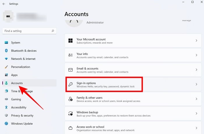 Windows Hello Accounts View