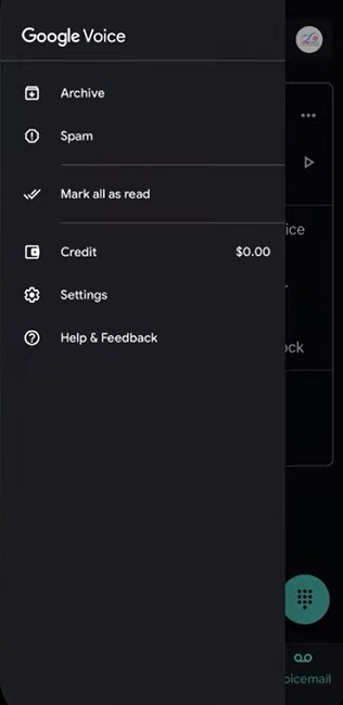 Viewing the Google Voice archive.