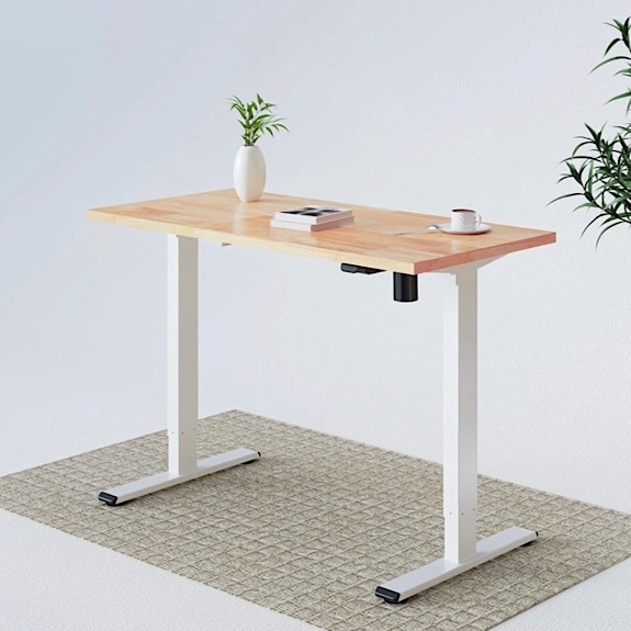 Flexispot June Member Deal E1