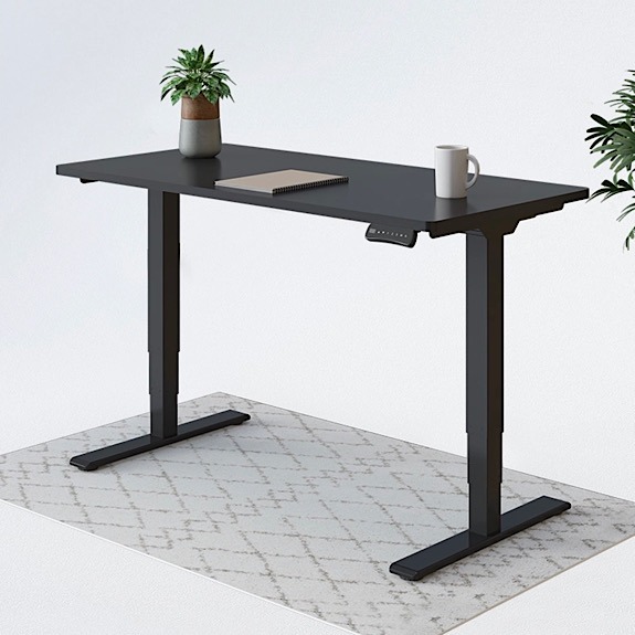 Flexispot June Member Deal E5