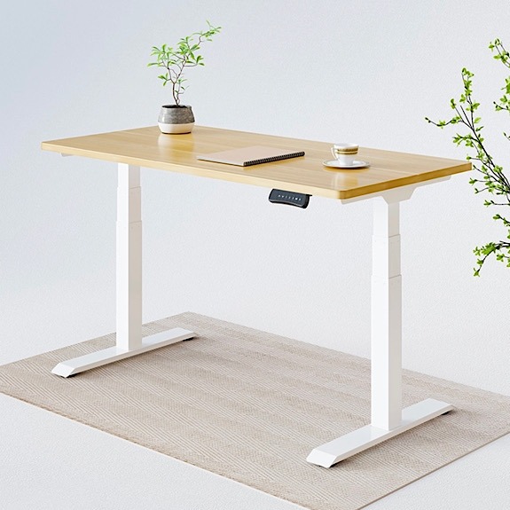 Flexispot June Member Deal E7