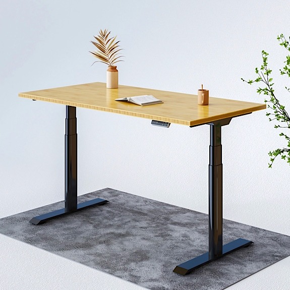 Flexispot June Member Deal E8