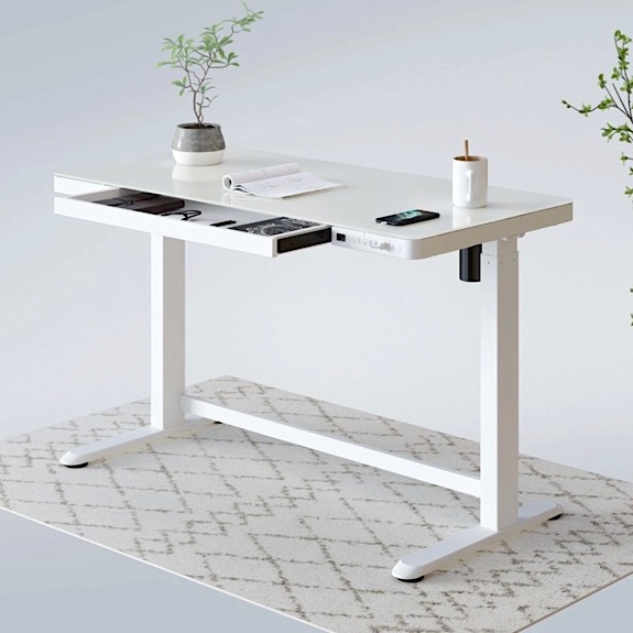 Flexispot June Member Deal Eg8