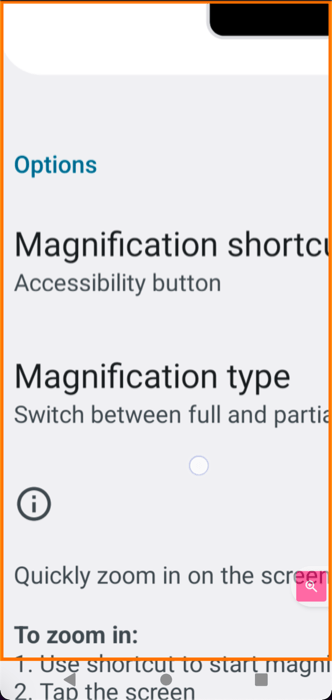 Full Screen Magnification