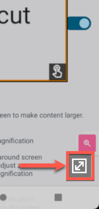 Magnification Shortcut Switch Mode
