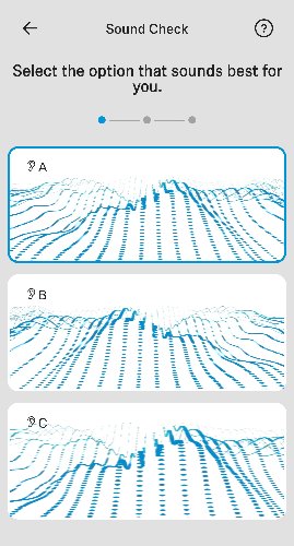 Momentum True Wireless Smartcontrol Sound Check