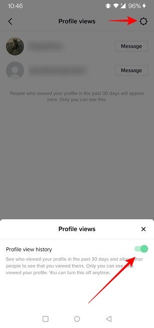 Tiktok Profile Views Turn Off Quickly