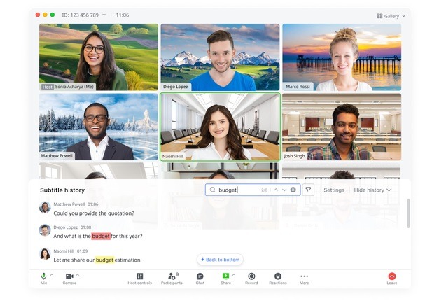 Sample Lark video call on desktop.