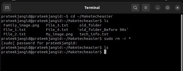 Delete Everything From A Directory 1