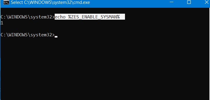 List Environment Variables Zes Enable Sysman Windows11