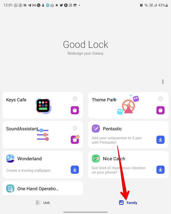 Samsung Galaxy Fold A Good Lock Family