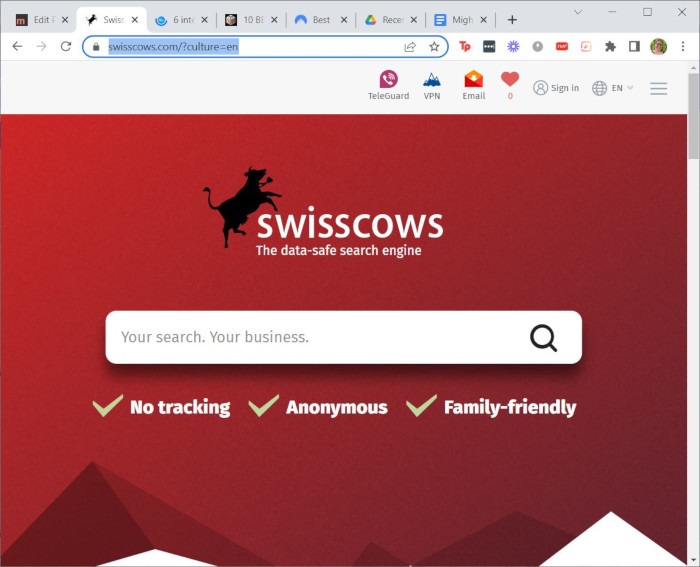 Search Engines Privacy Swisscows